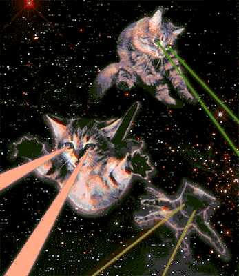 gatitos-con-rayos